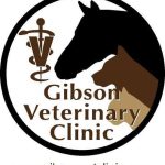 Gibson Veterinary Clinic (GVC)