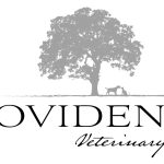Providence Veterinary Clinic