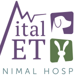 Vital Vet Animal Hospital